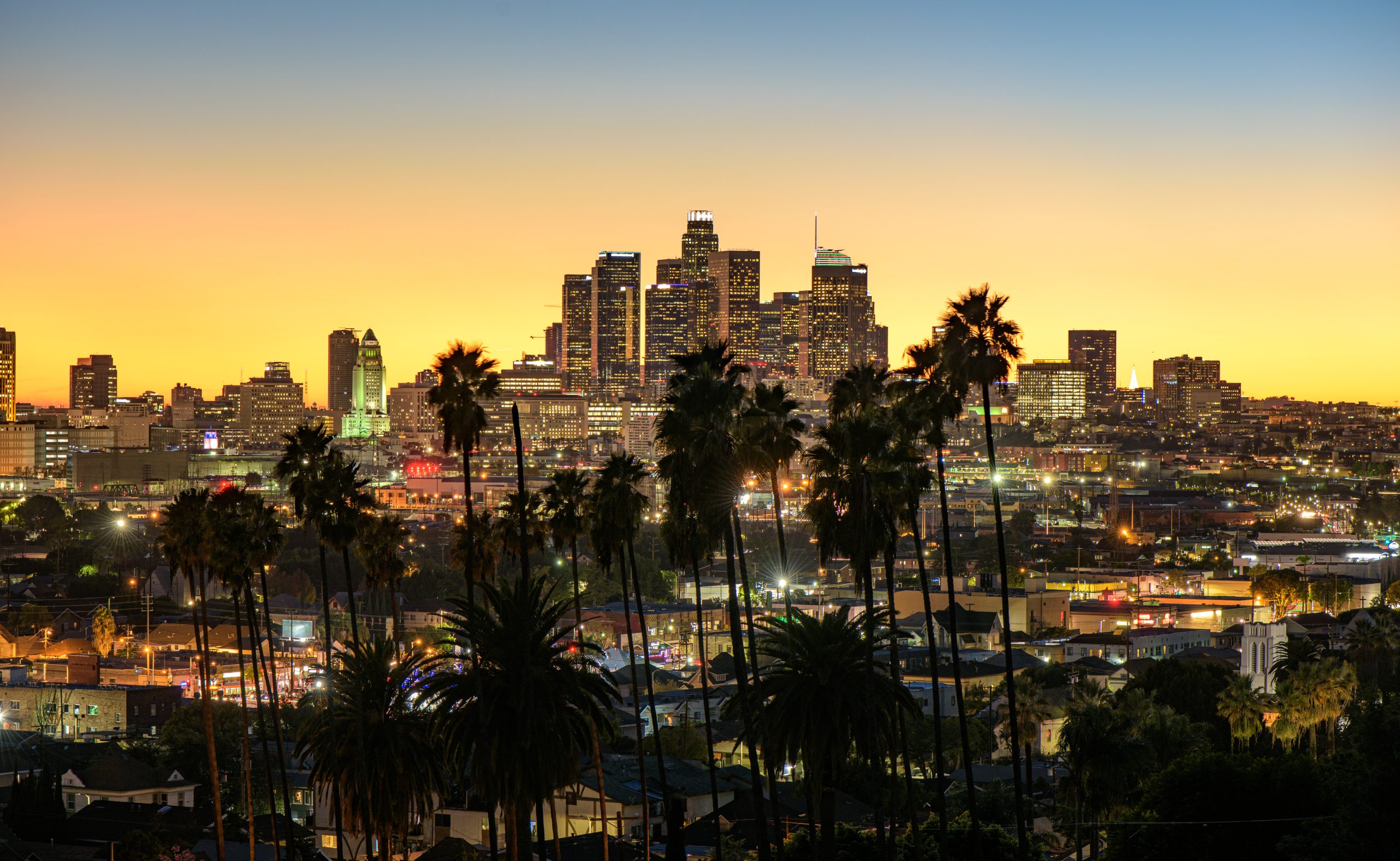 Beautiful sunset through the palm trees, Los Angeles, California.