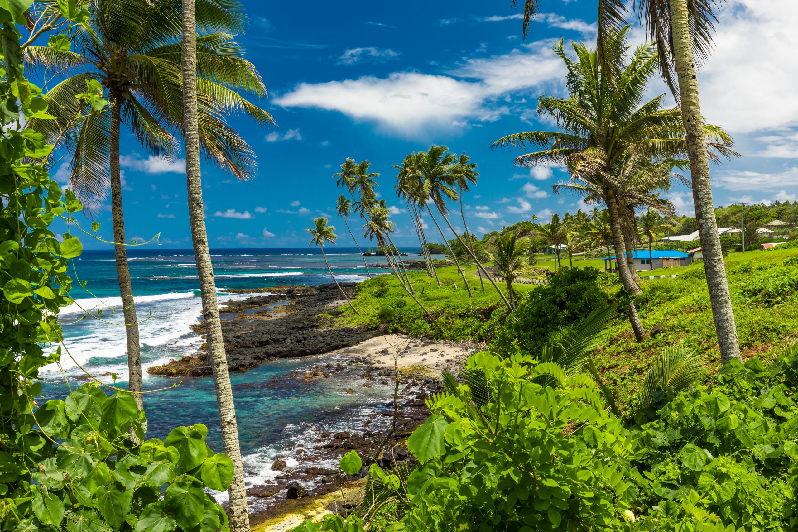 Tropical beach on south side of Samoa Island with coconut palm trees.